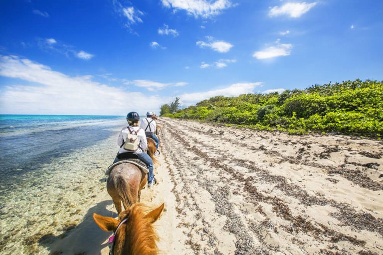 Explore the Island: Aruba Horseback Riding Tours